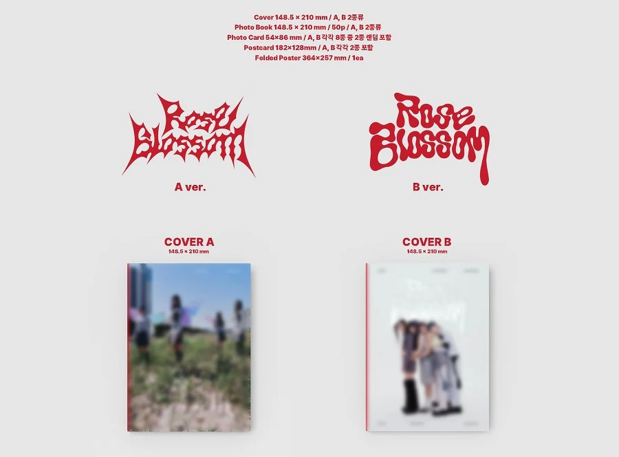 H1-KEY - Rose Blossom (Random Cover) - Image 2