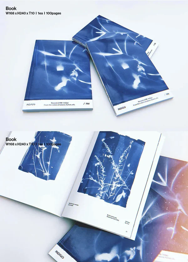RM - Indigo [Book Edition] - Image 3