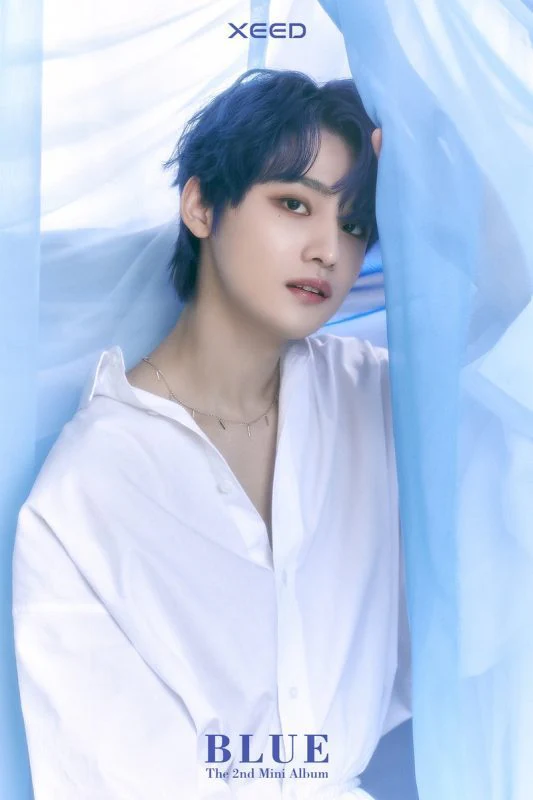 XEED - BLUE - Image 5