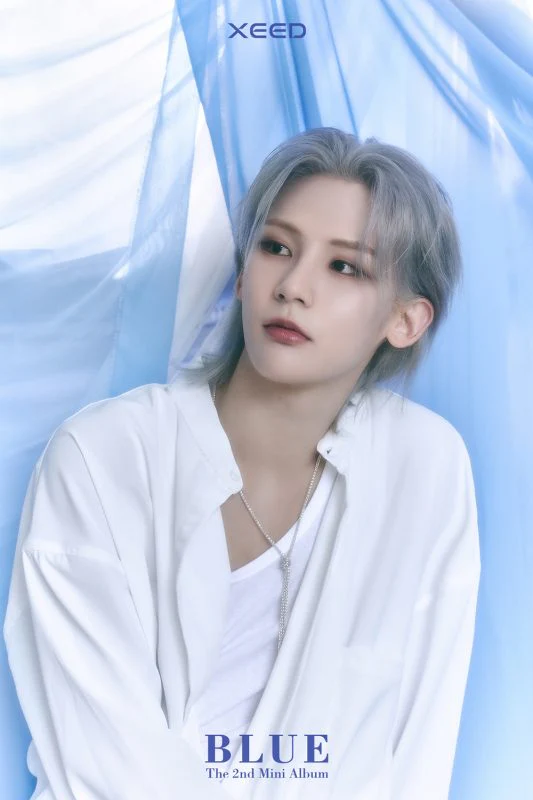 XEED - BLUE - Image 7