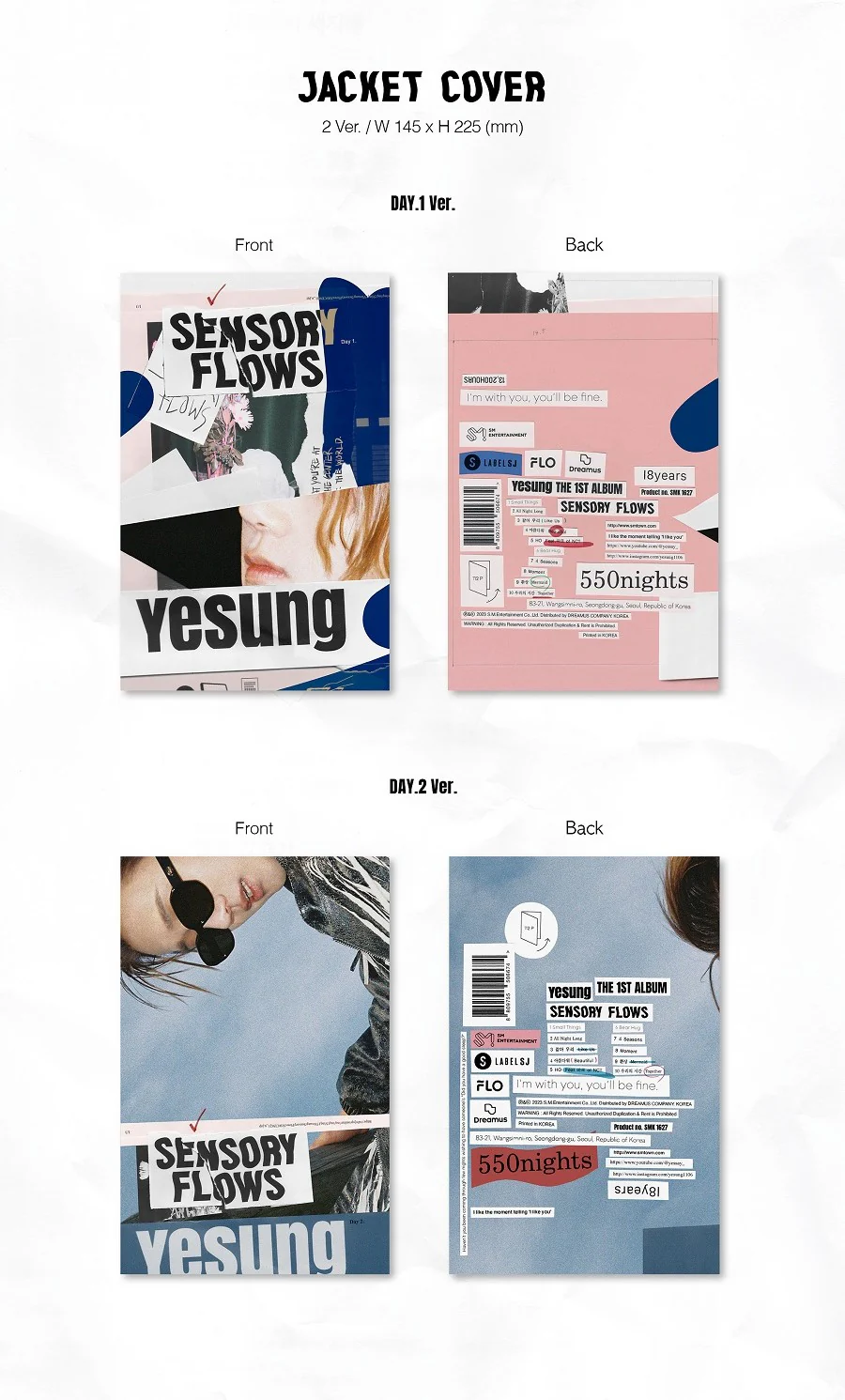YESUNG - Sensory Flows - Image 2